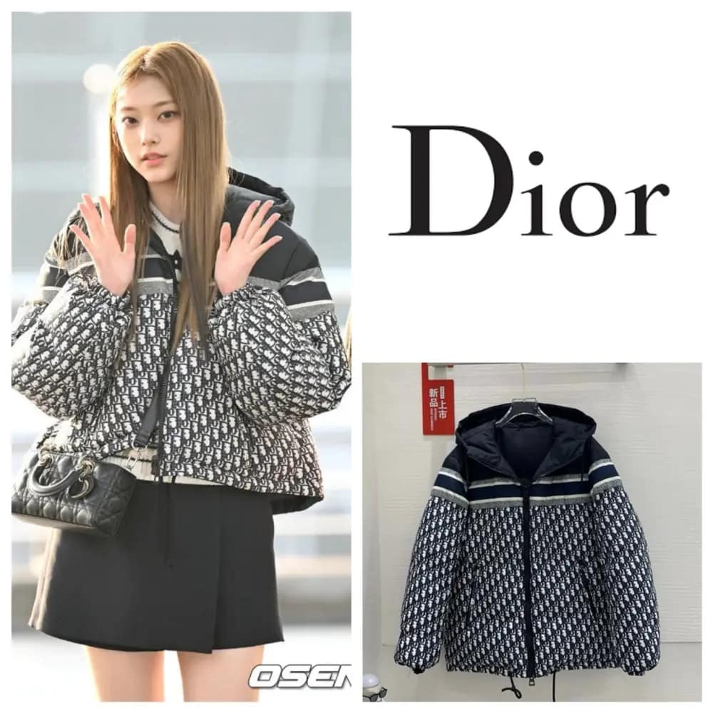 (해린착용)디올 오블리크 리버서블 패딩