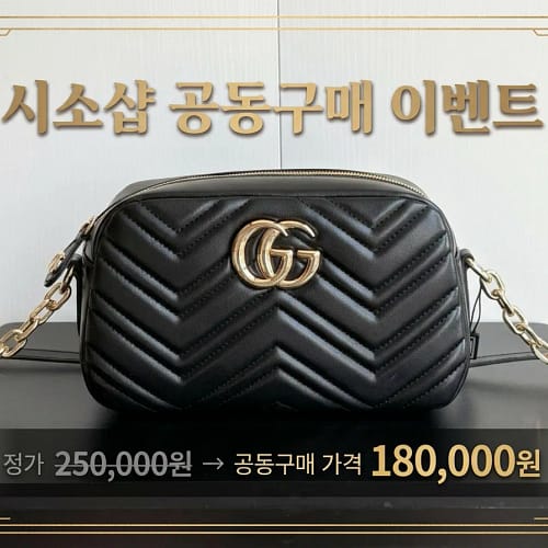 공동구매2 구찌 GG 마몬트 스몰 카메라백(855273)